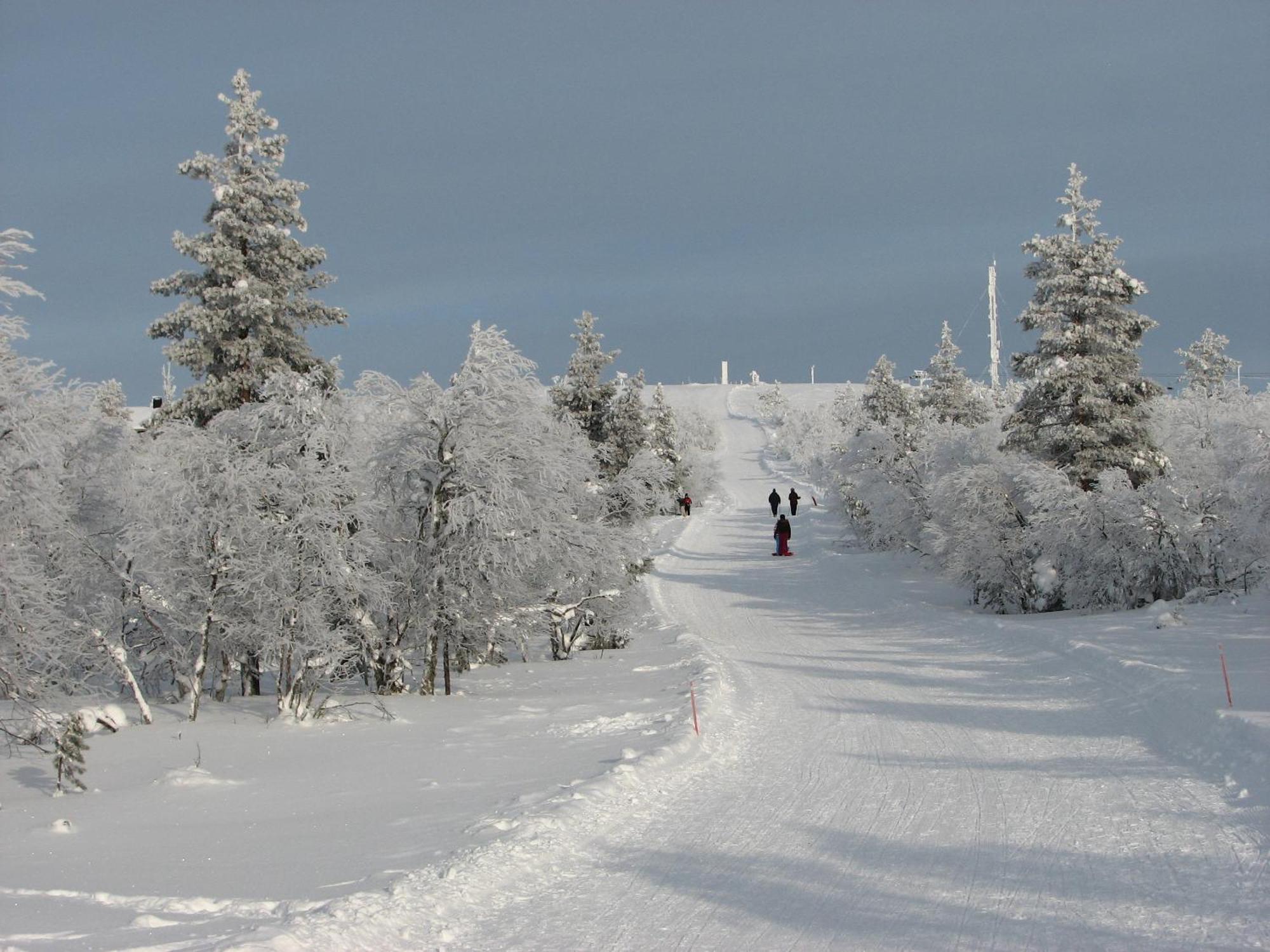 Vila Saariselaen Marjamajat Saariselka Exteriér fotografie