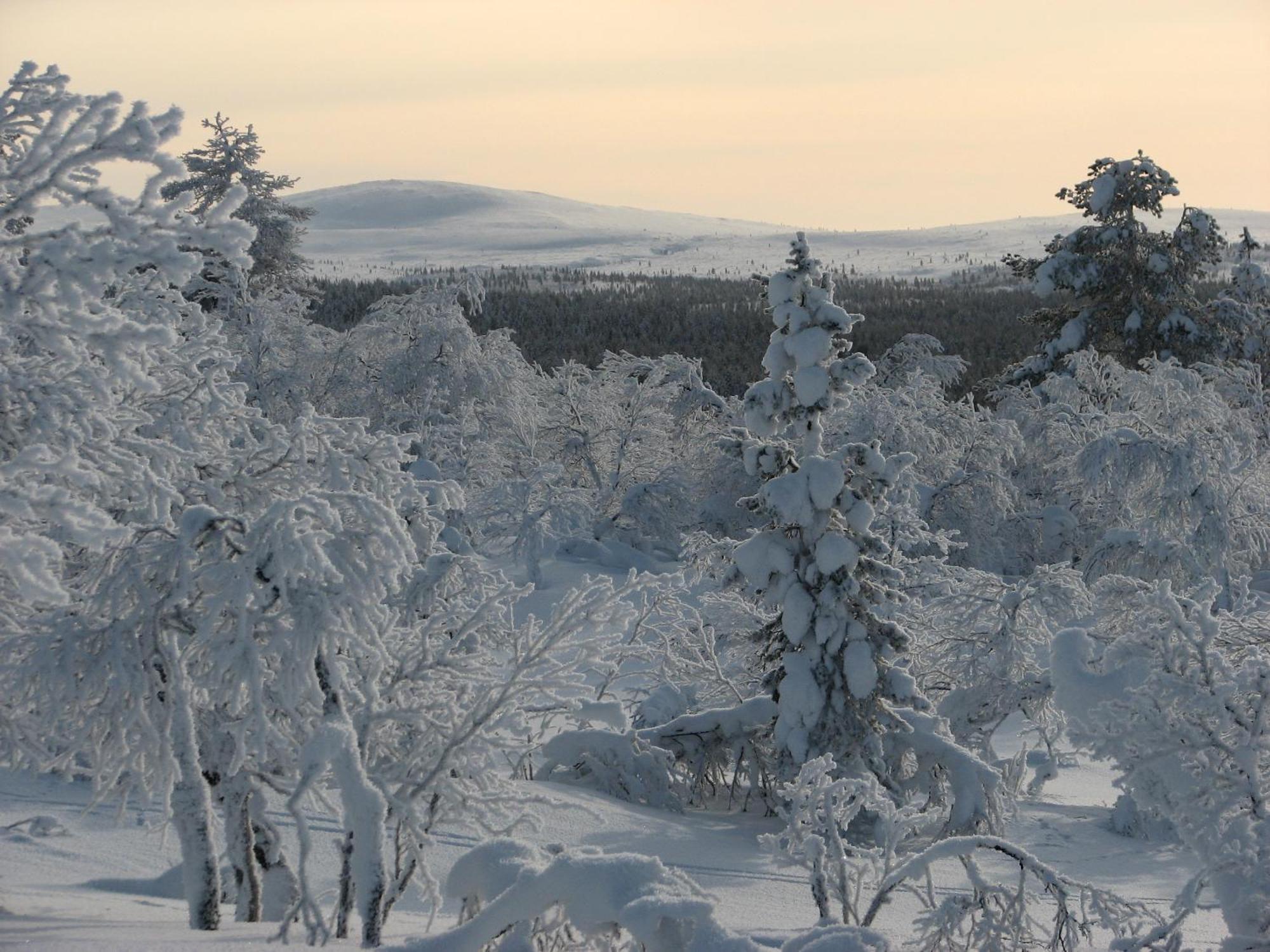 Vila Saariselaen Marjamajat Saariselka Exteriér fotografie