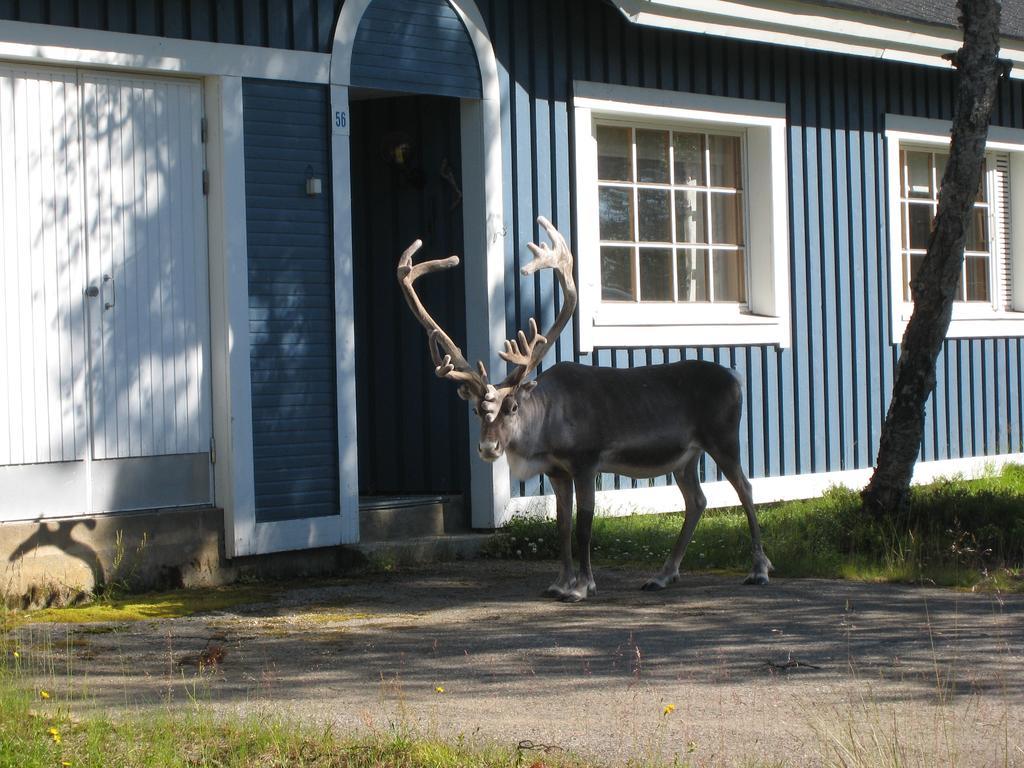 Vila Saariselaen Marjamajat Saariselka Exteriér fotografie